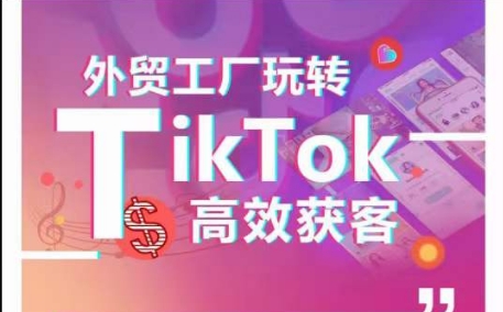 外贸工厂玩转TikTok高效获客，多种引流方式与账号定位技巧，拆解爆款短视频打造成功案例-南青云资源库