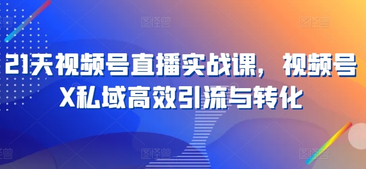 21天视频号直播实战课，视频号X私域高效引流与转化-南青云资源库