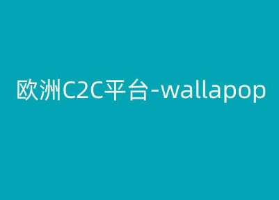 欧洲C2C平台-wallapop-kim跨境电商教程-南青云资源库