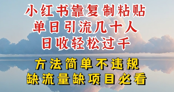 小红书靠复制粘贴单日引流几十人目收轻松过千，方法简单不违规【揭秘】-南青云资源库