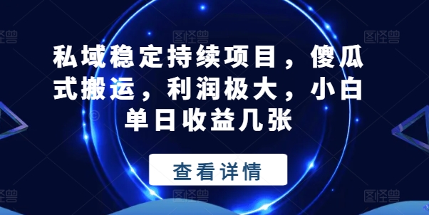 私域稳定持续项目，傻瓜式搬运，利润极大，小白单日收益几张【揭秘】-南青云资源库