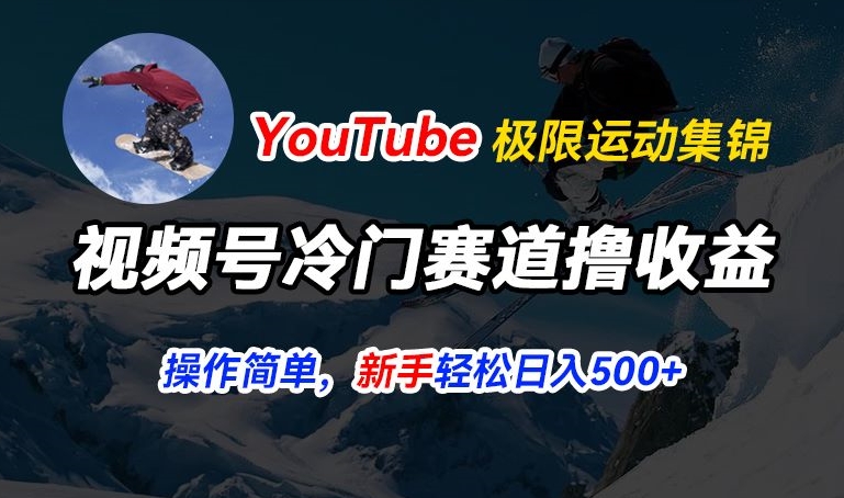 视频号冷门赛道撸收益，YouTube搬运极限运动集锦，暴力起号，操作简单流量高，轻松日入5张【揭秘】-南青云资源库