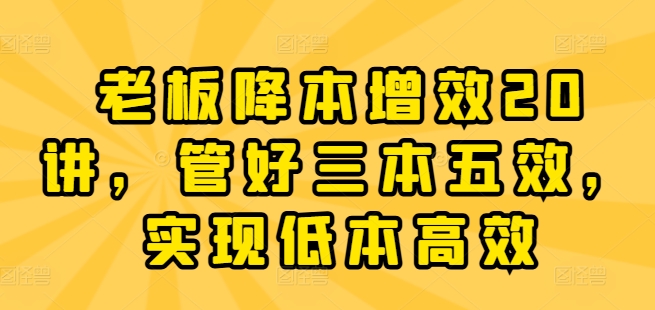 老板降本增效20讲，管好三本五效，实现低本高效-南青云资源库