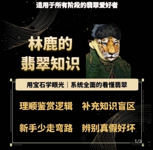 林鹿的翡翠知识，​用宝石眼光，系统全面的看懂翡翠-南青云资源库