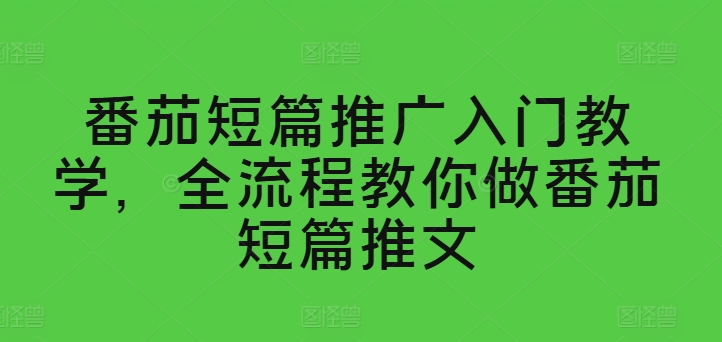 番茄短篇推广入门教学，全流程教你做番茄短篇推文-南青云资源库